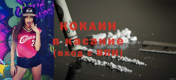 стафф Вяземский