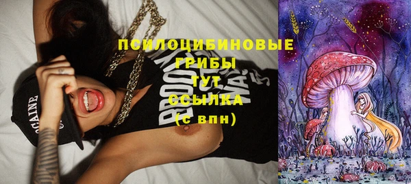 стафф Вяземский