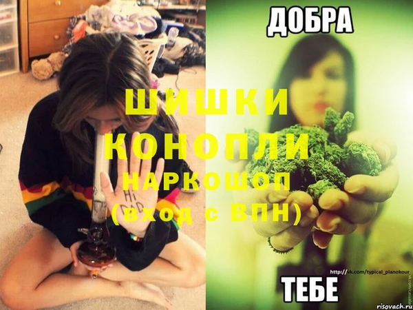 стафф Вяземский