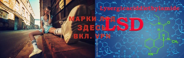 стафф Вяземский
